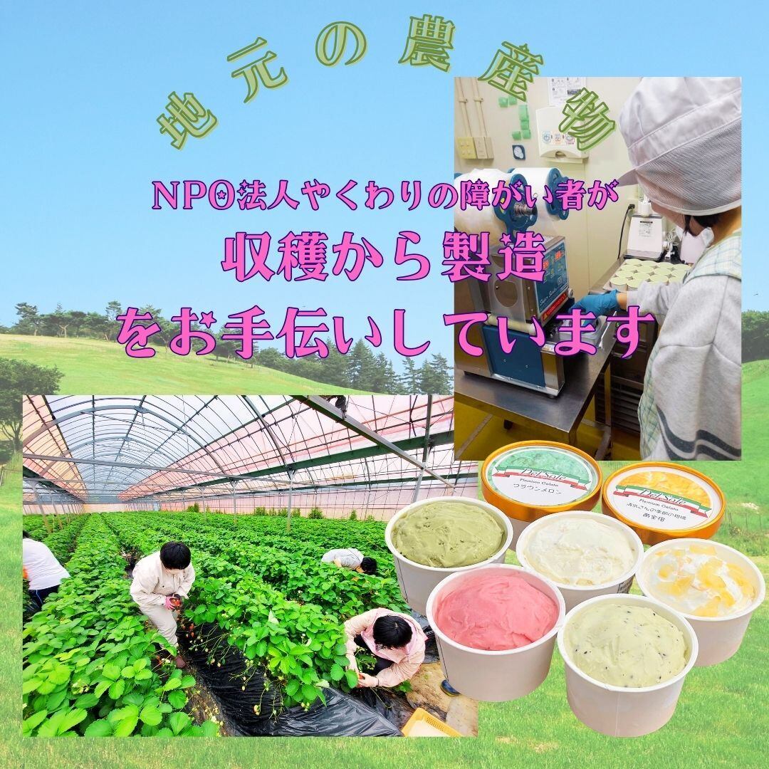 甘々娘(とうもろこし) ジェラート 【6個入り】《期間限定》 | Del Sole