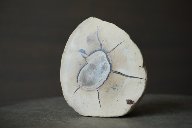 マダガスカル産セプタリアン Septarian 1393