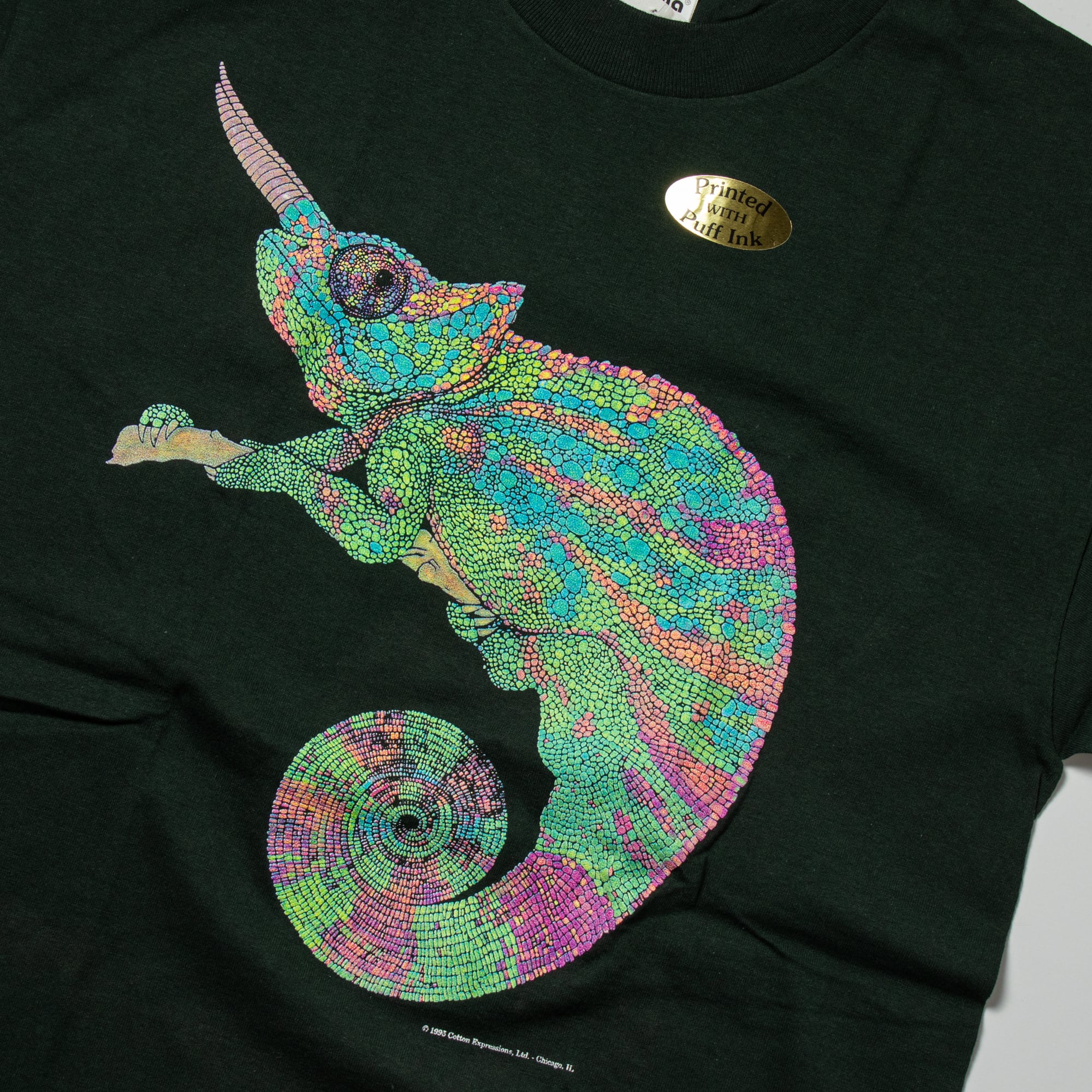 CHAMELEON TEE / Cotton Expressions | PEPS