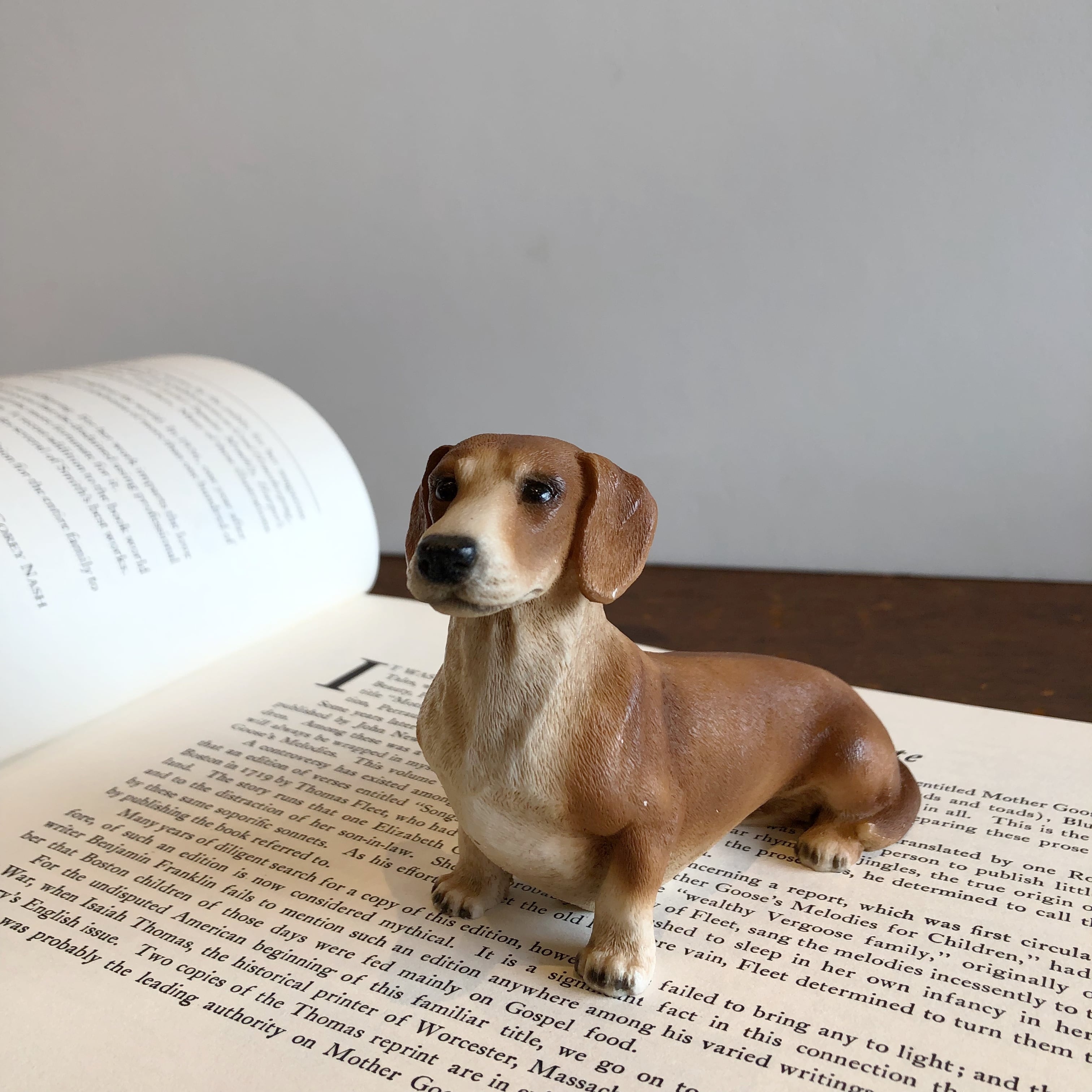 陶器 置物 犬 ダックスフンド イタリア製 アンティーク調 ブラック わんこ 陶器 置物 犬 ダックスフンド イタリア製 アンティーク調