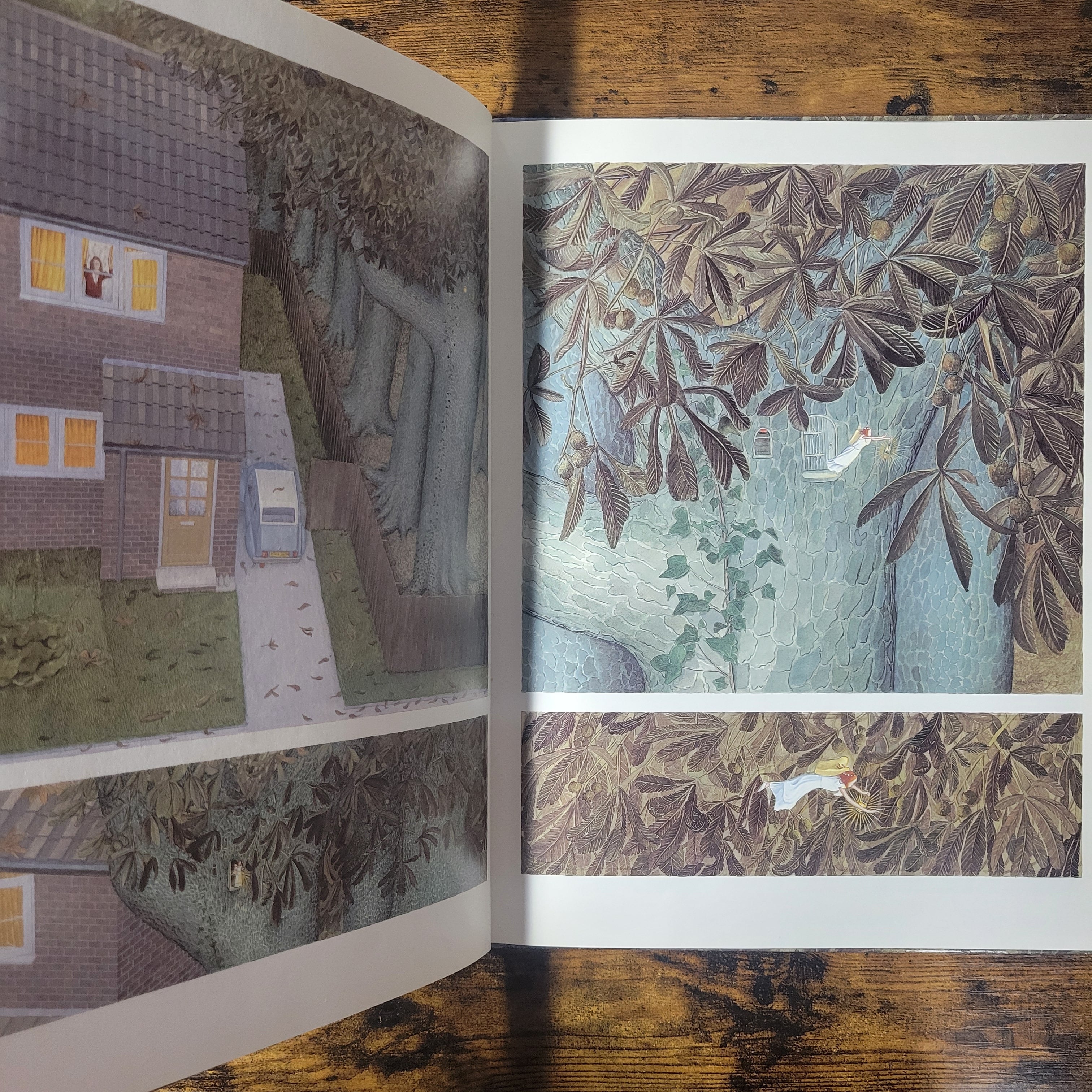 絵本『トゥース・フェアリー 妖精さん、わたしの歯をどうするの