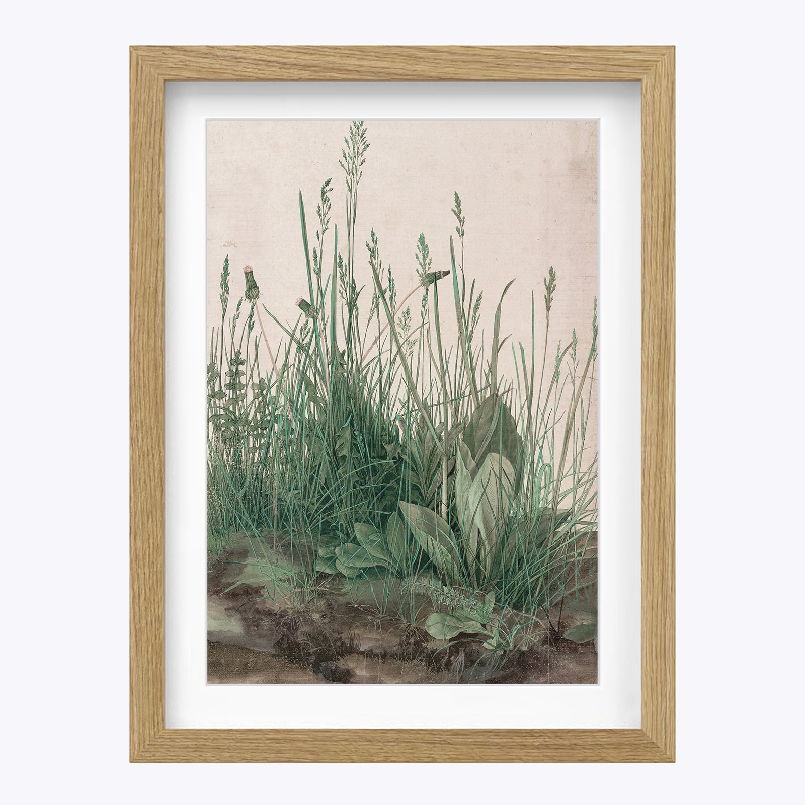 アルブレヒト・デューラー「草の茂み」