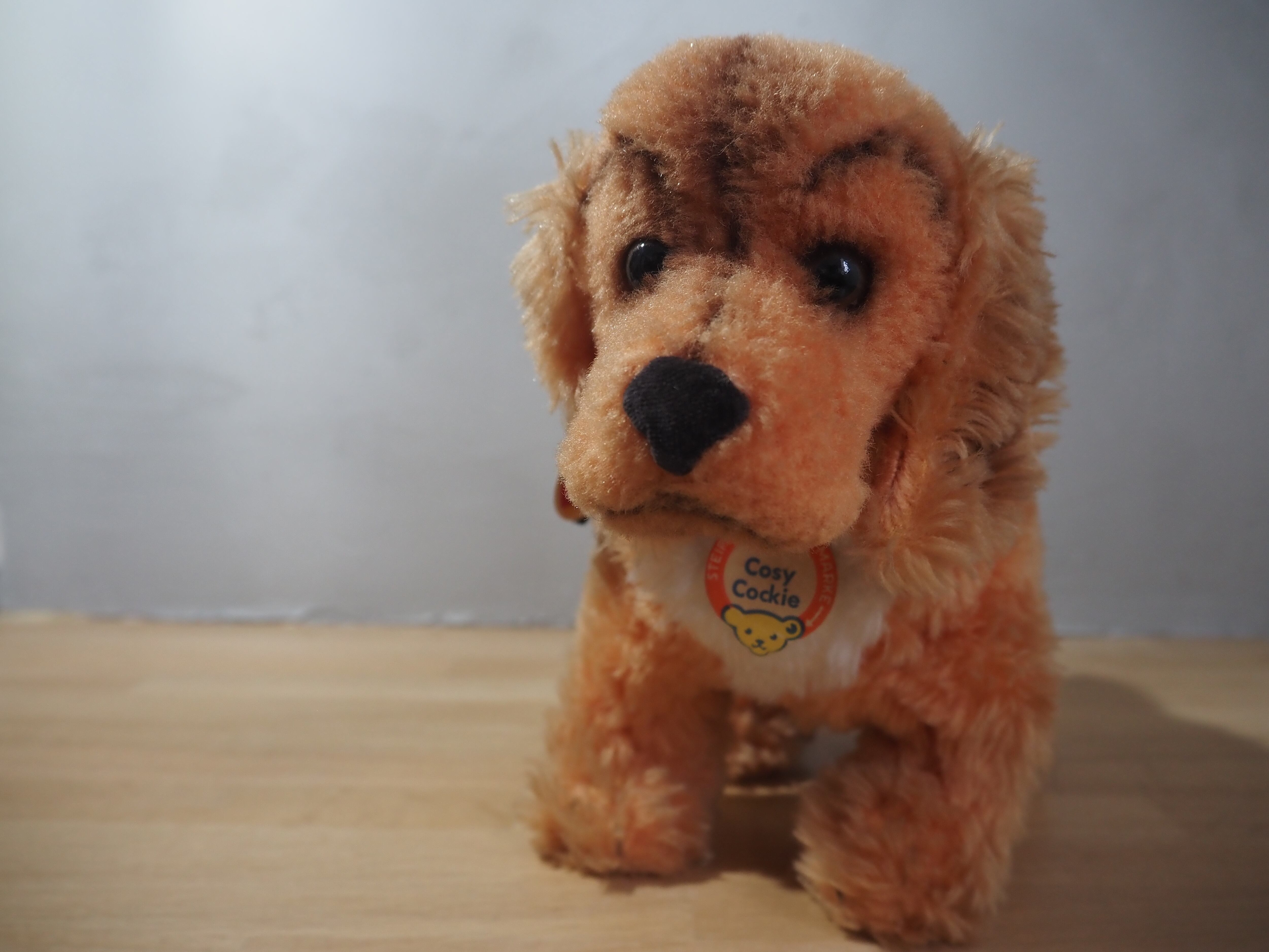 オールド シュタイフ コッカースパニエル Steiff Cosy Cockie 22cm