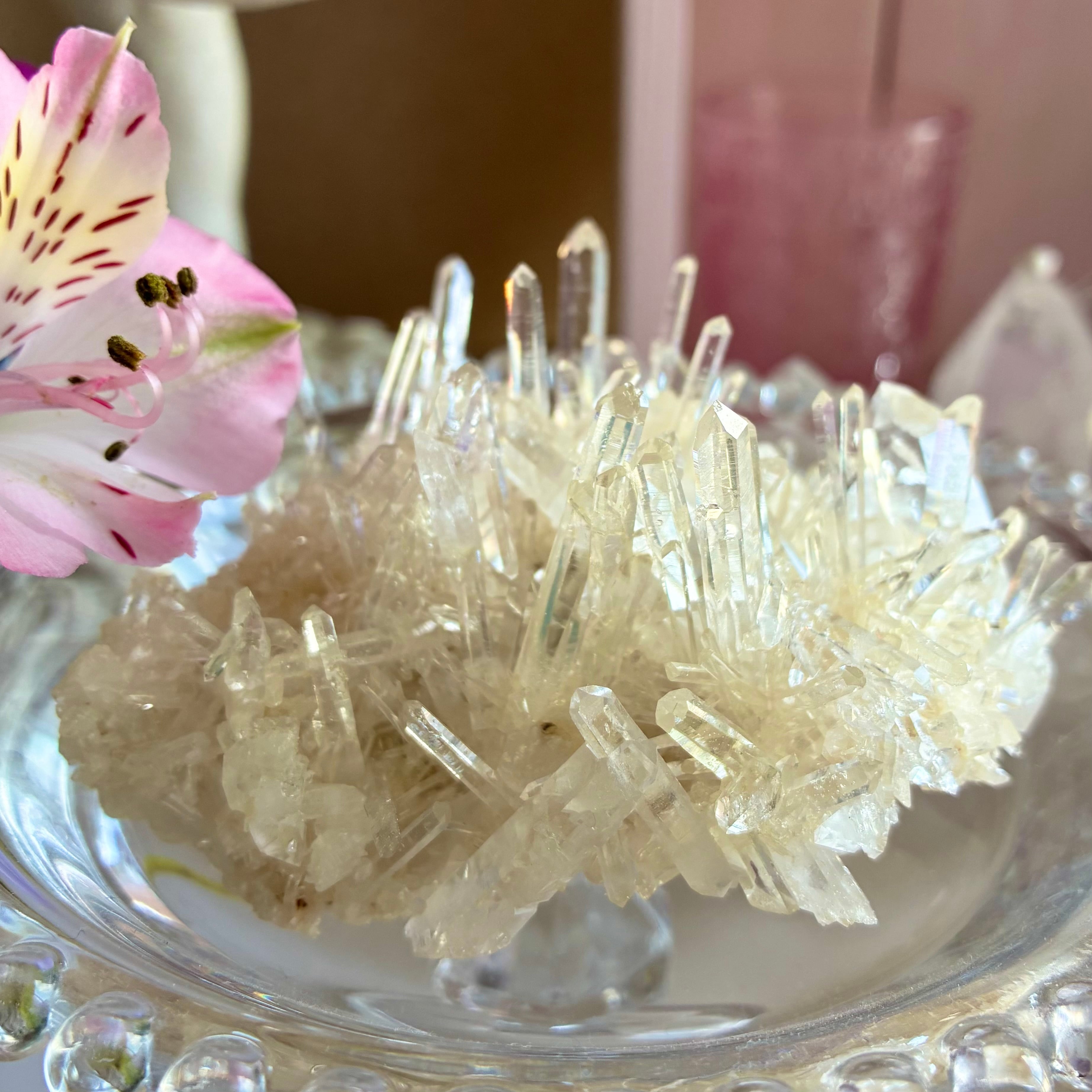 Crystal Lilly Crystal Lilly