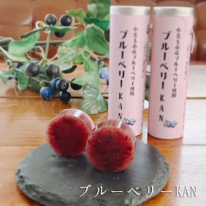 ブルーベリーKAN 1本 ブルーベリーKAN 1本