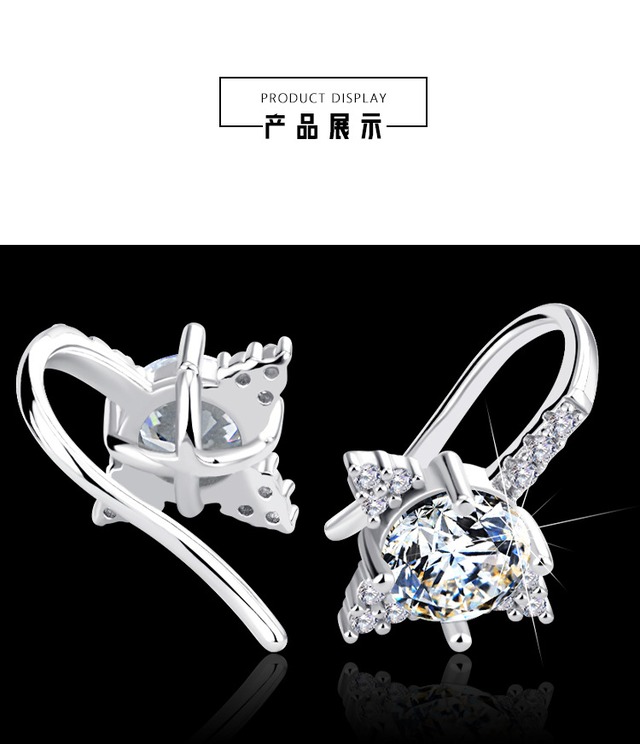 HORON 星型プラチナイヤーフックピアス 인테리어