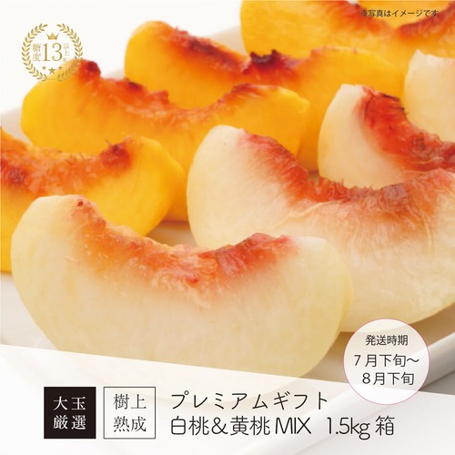 プレミアムギフト 白桃＆黄桃 MIX 1.5kg箱（5～6玉）