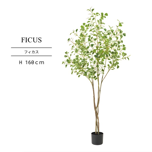 ファイカスツリーポット160㎝［人工観葉植物・フェイクグリーンT］