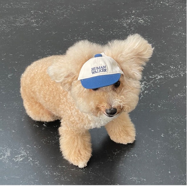 〈予約アイテム〉pebs / Ball cap(わんこ用) Sサイズ