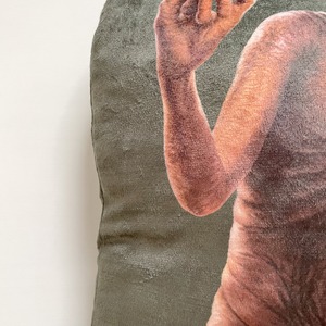 E.T. Diecut cushion