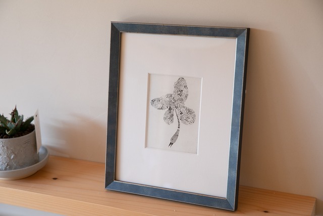 mirei.furukubo/kinoko