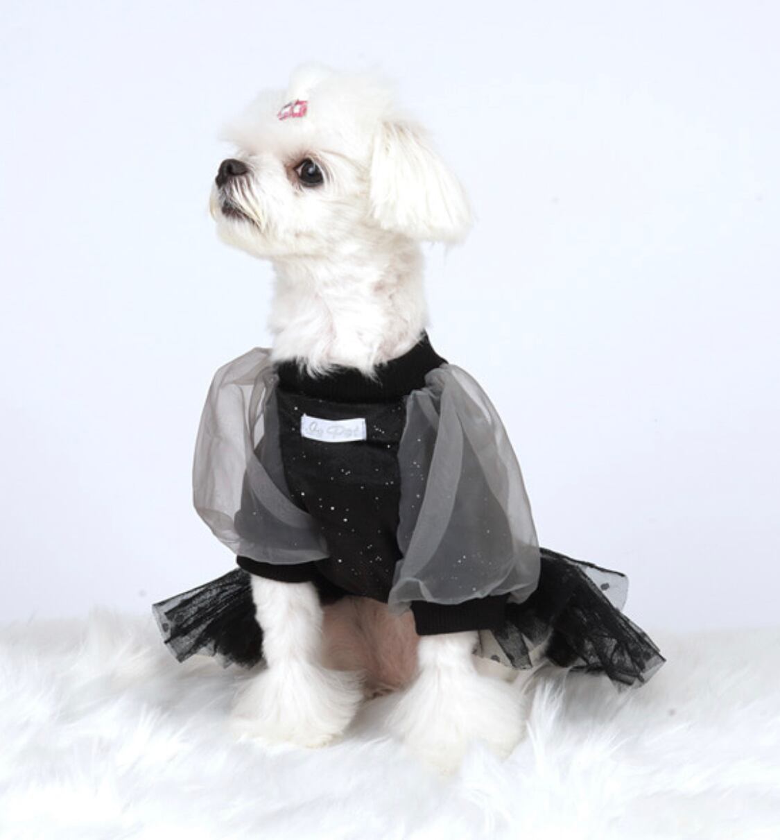 SALE】ベロアボリューム袖OP S ~ XL 2color / 犬服 ワンピース