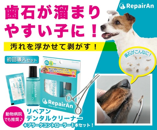 RepairAn 4個入＋プラークコントローラー付セット（送料無料）