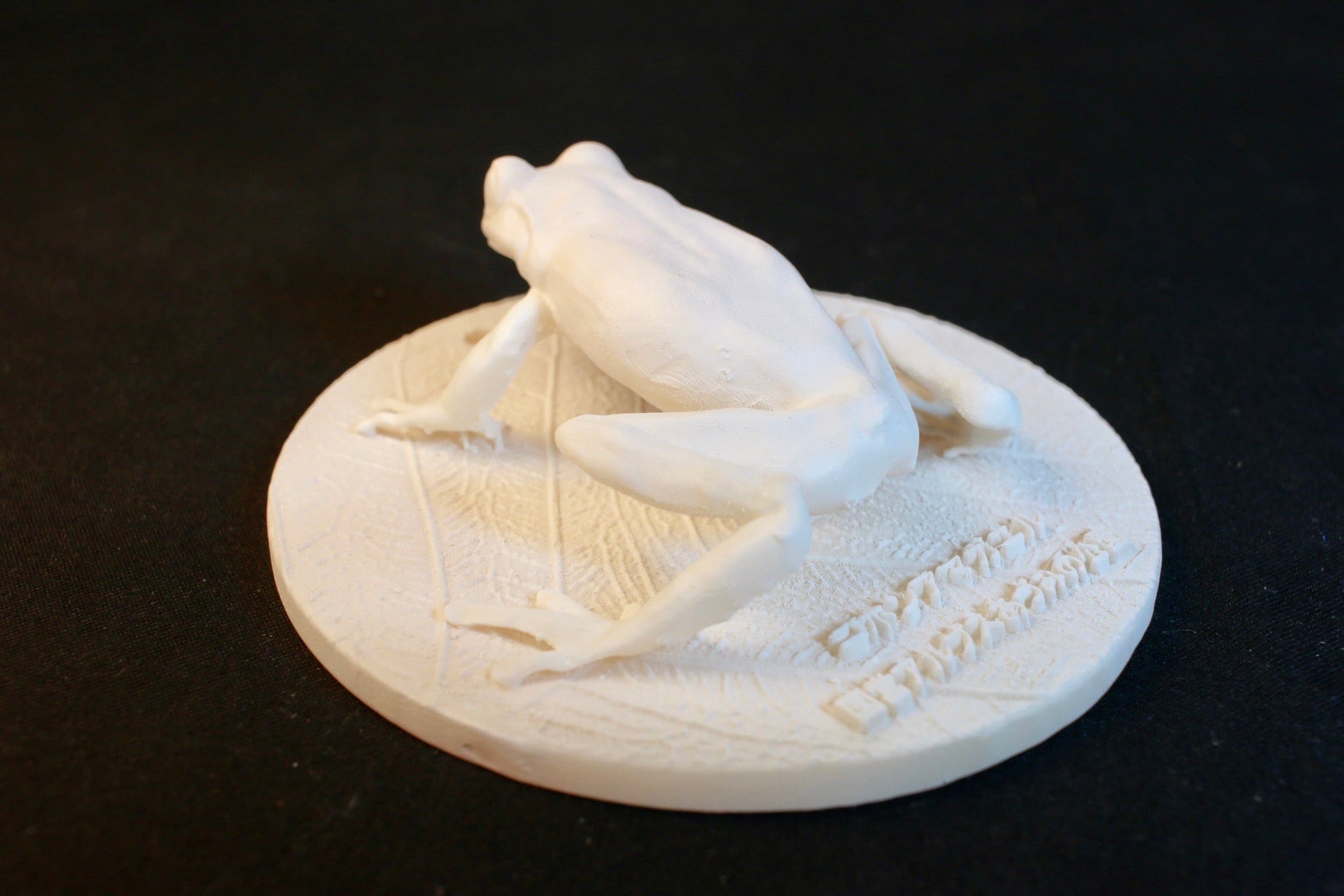 着色無し】ニホンアマガエル 原寸大レプリカ | アンフィ合同会社