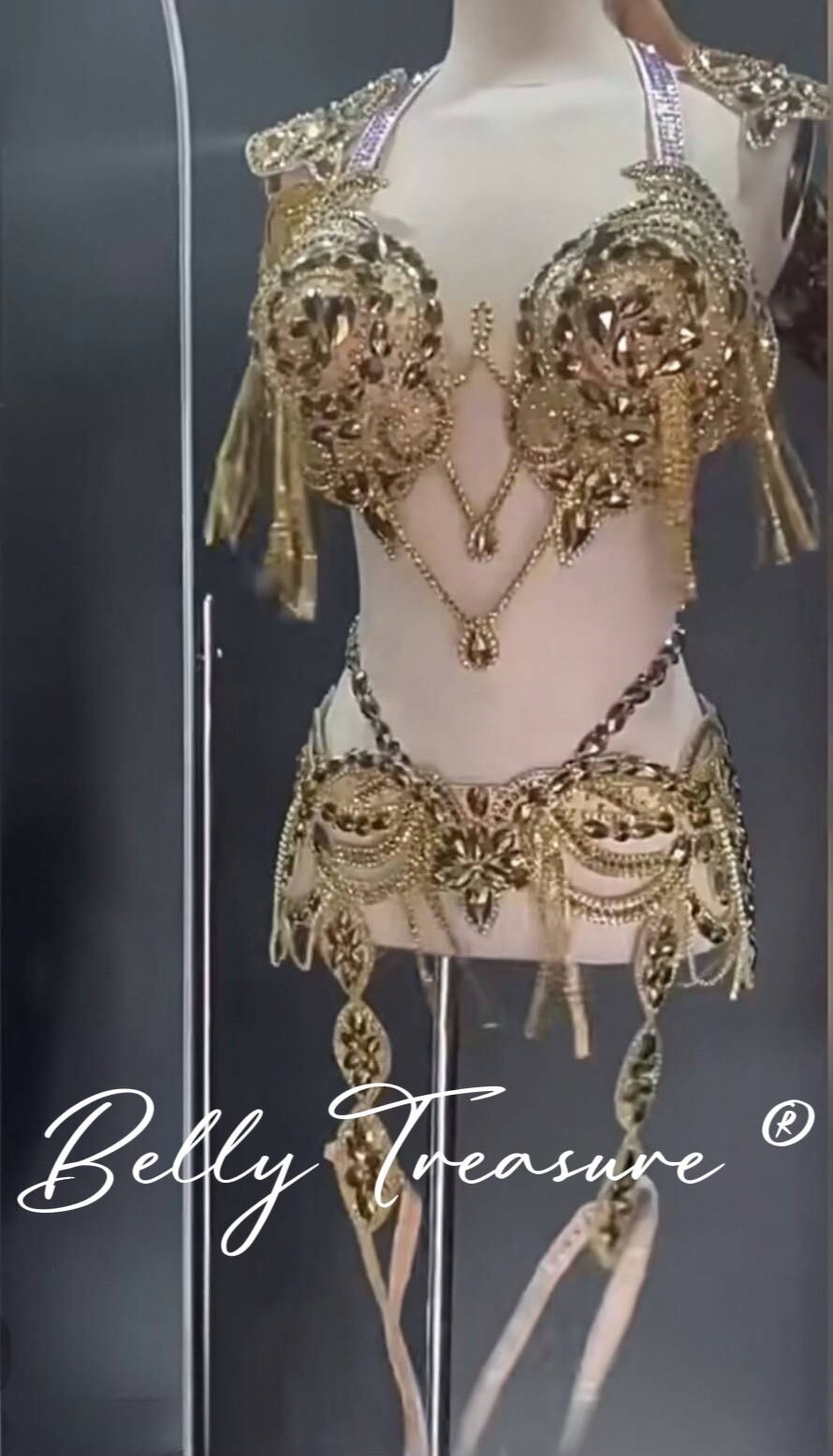 ベリーダンス オーダーメイド衣装 LY 2953 202504