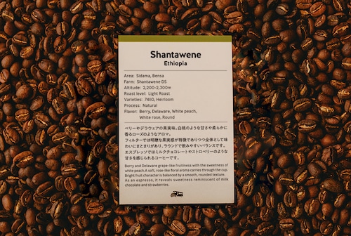 【浅煎り】Shantawene - Ethiopia 100g
