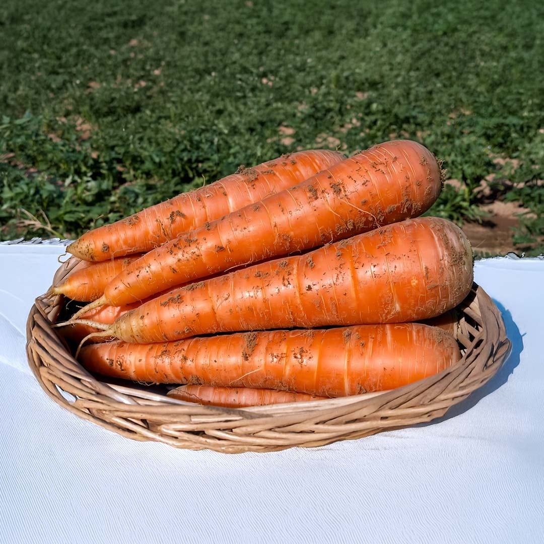 ニセコ産 土付きにんじん（天翔五寸） 約4.5kg | LIST FARM｜ONLINE STORE