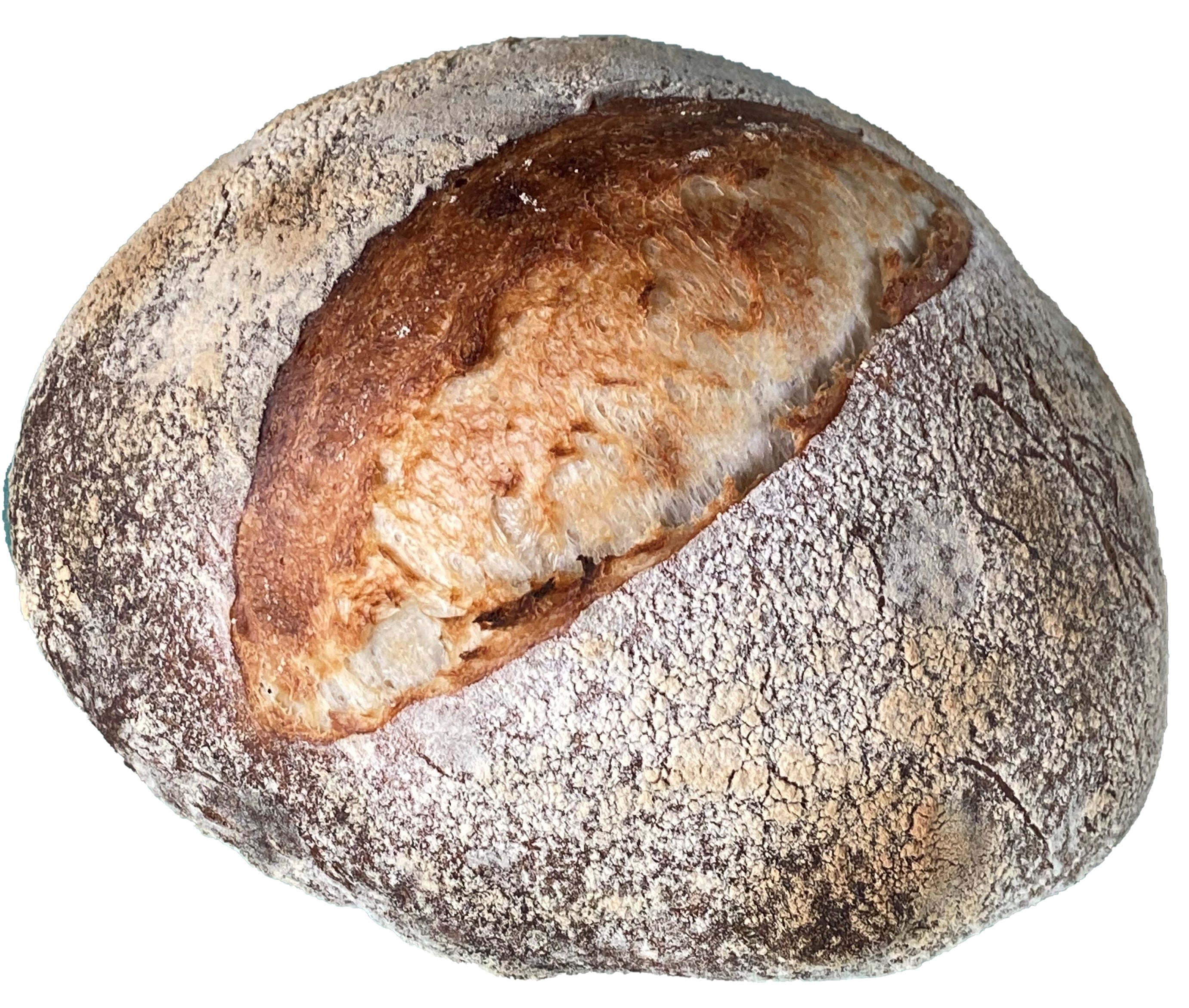 有機スペルト小麦のみ使用 古代小麦パべ小