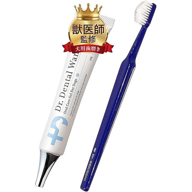 Dr. Dental Wan 歯磨き粉 30g 【公式通販】
