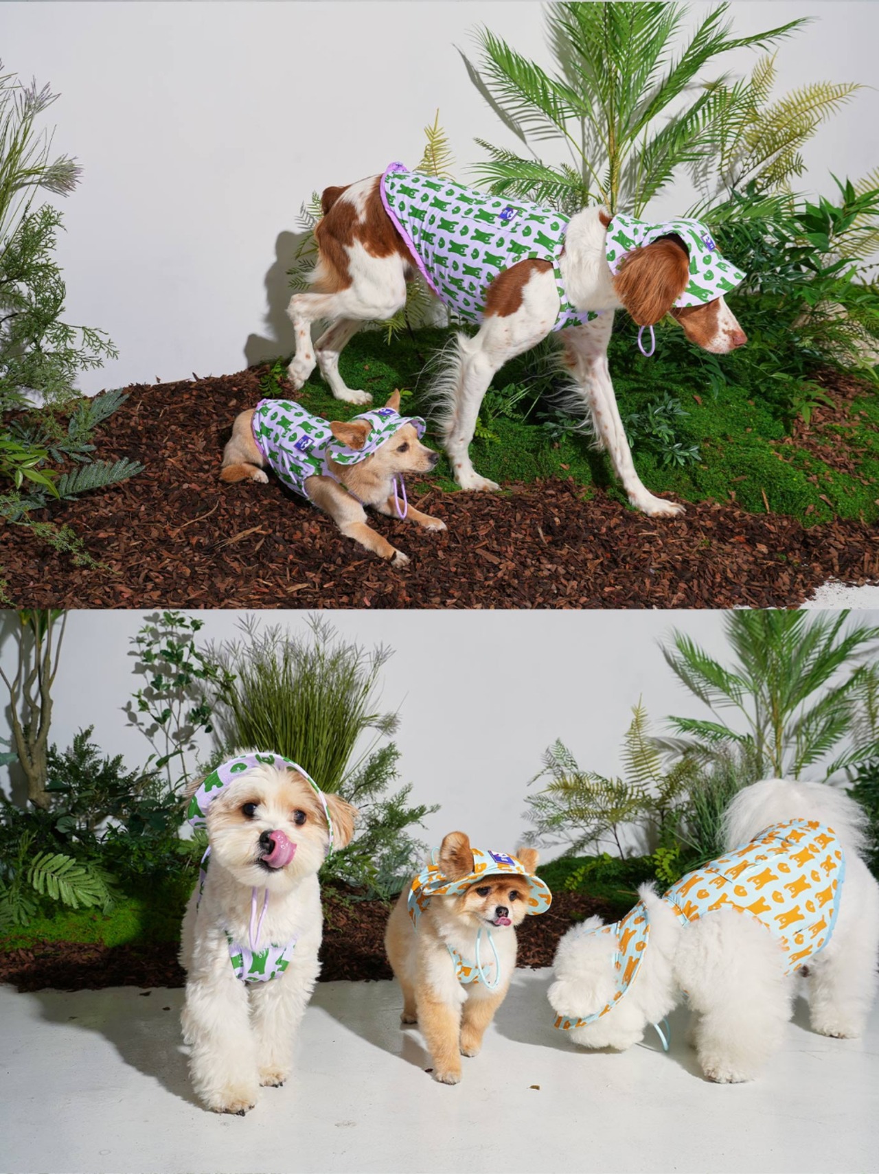 【PUPPYGALLERY公式】Bouncing Bear Bucket Hat　L-XL