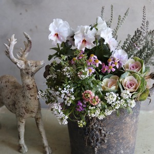 冬から春に楽しむ寄せ植え｜シックカラーのシャビーポットのハボタンスィートベリーの寄せ植え　届いてすぐ玄関に飾れる 　プレゼントにもオススメ　