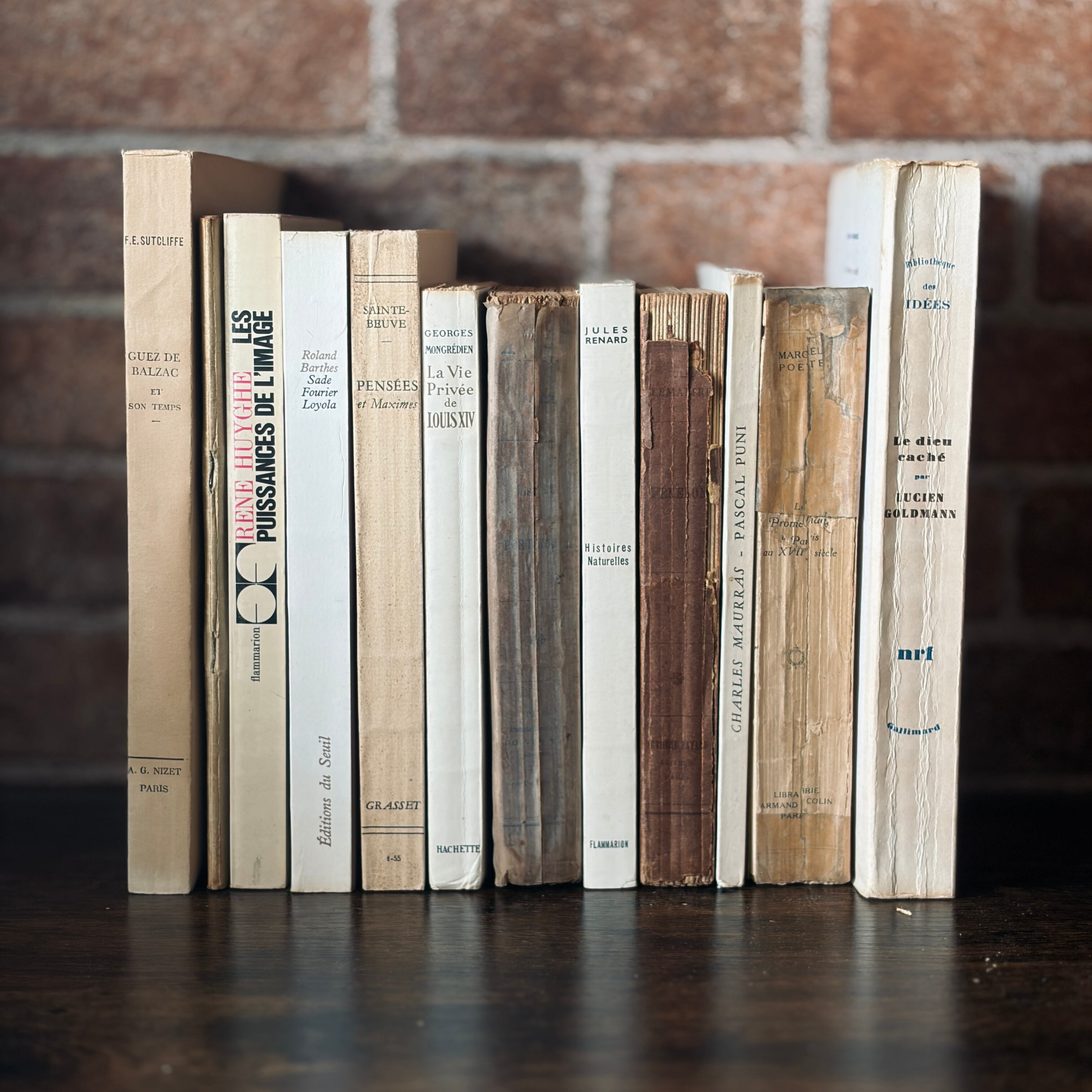 洋書　まとめ売り　洋書コレクション - インテリアにも　全24冊セット まとめ売り | 【*Open SALE*】Gmi Books 洋書インテリア