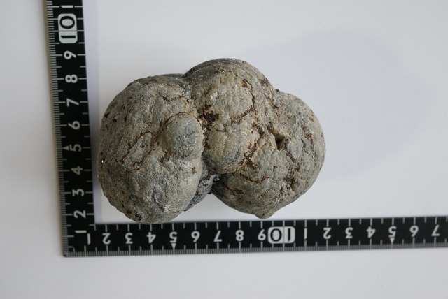 クリストバライト Cristobalite