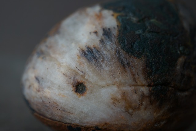 ゴビアゲート Gobi Agate 1448