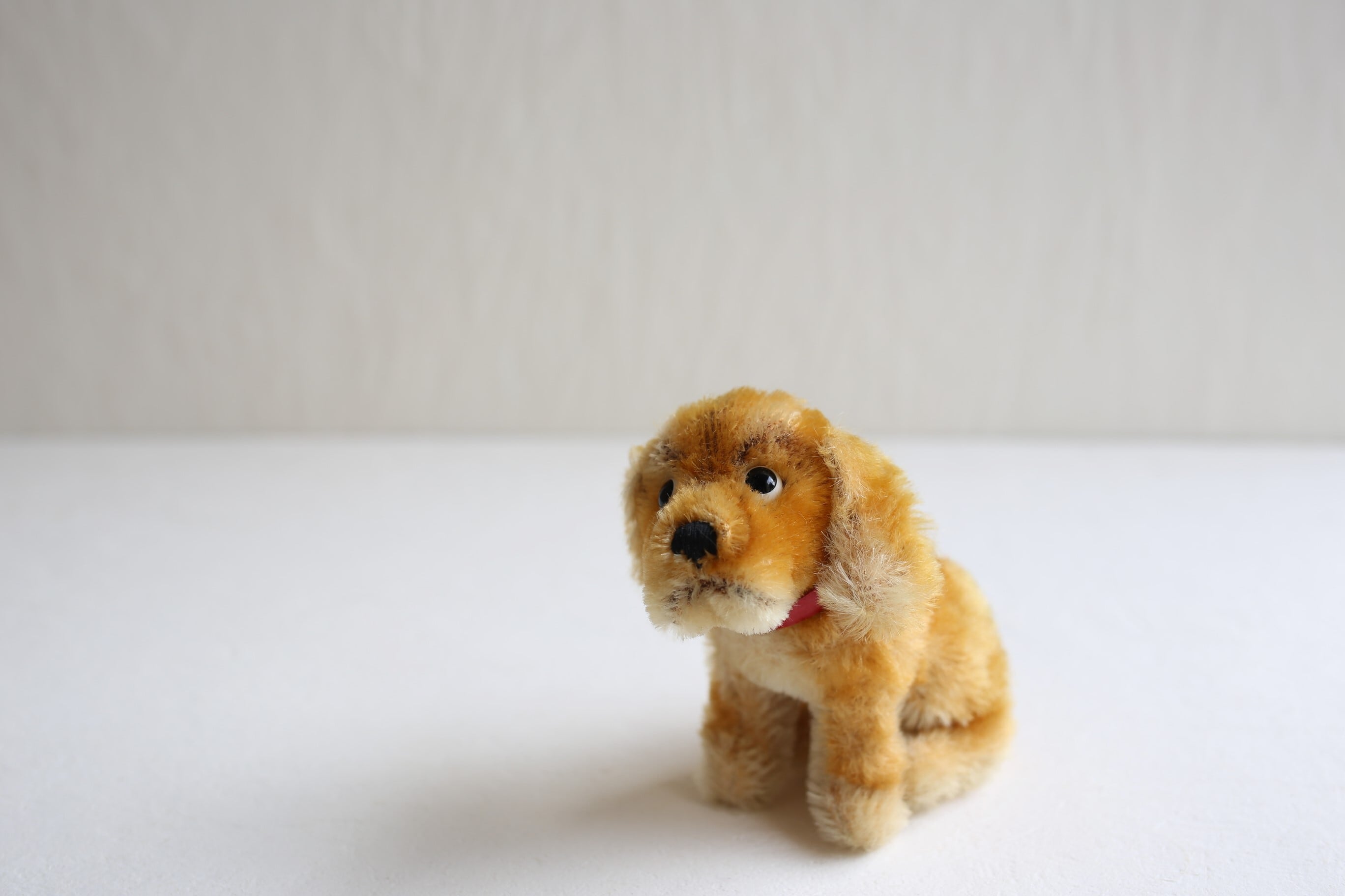 ドイツ ヴィンテージ Steiff シュタイフ コッカースパニエル『REVUE SUSI』(カタログ表記サイズ12) N-03682