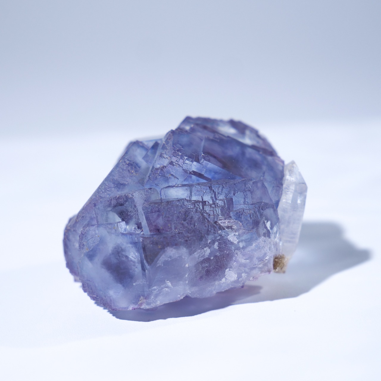 ヤオガンシャン産 フローライト クォーツ 共生 / 原石 標本【H_6】