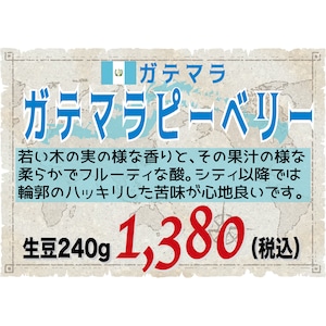 ガテマラ アンティグア パストレス ピーベリー（ガテマラ）生豆240gを焙煎