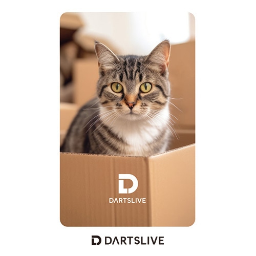 Darts Live Card [205]