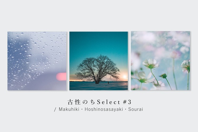 古性のちselect 写真パネルset「雨色」（スクエアミニ）