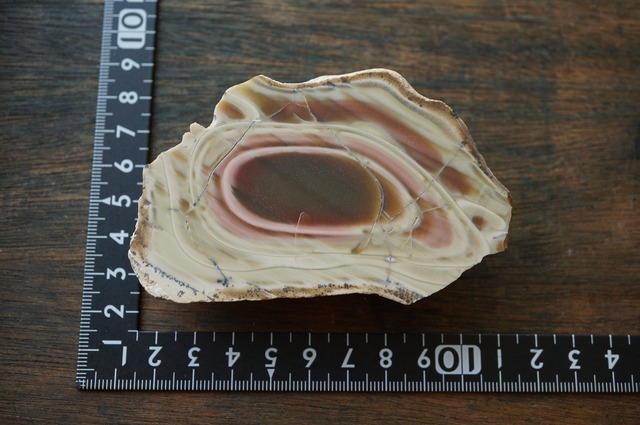 ロイヤルインペリアルジャスパー Royal Imperial Jasper 2371