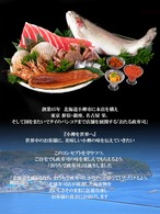 【個数限定10％オフ】海鮮冷凍パック4袋セット（90ｇ×4）【商品入れ替えセール】