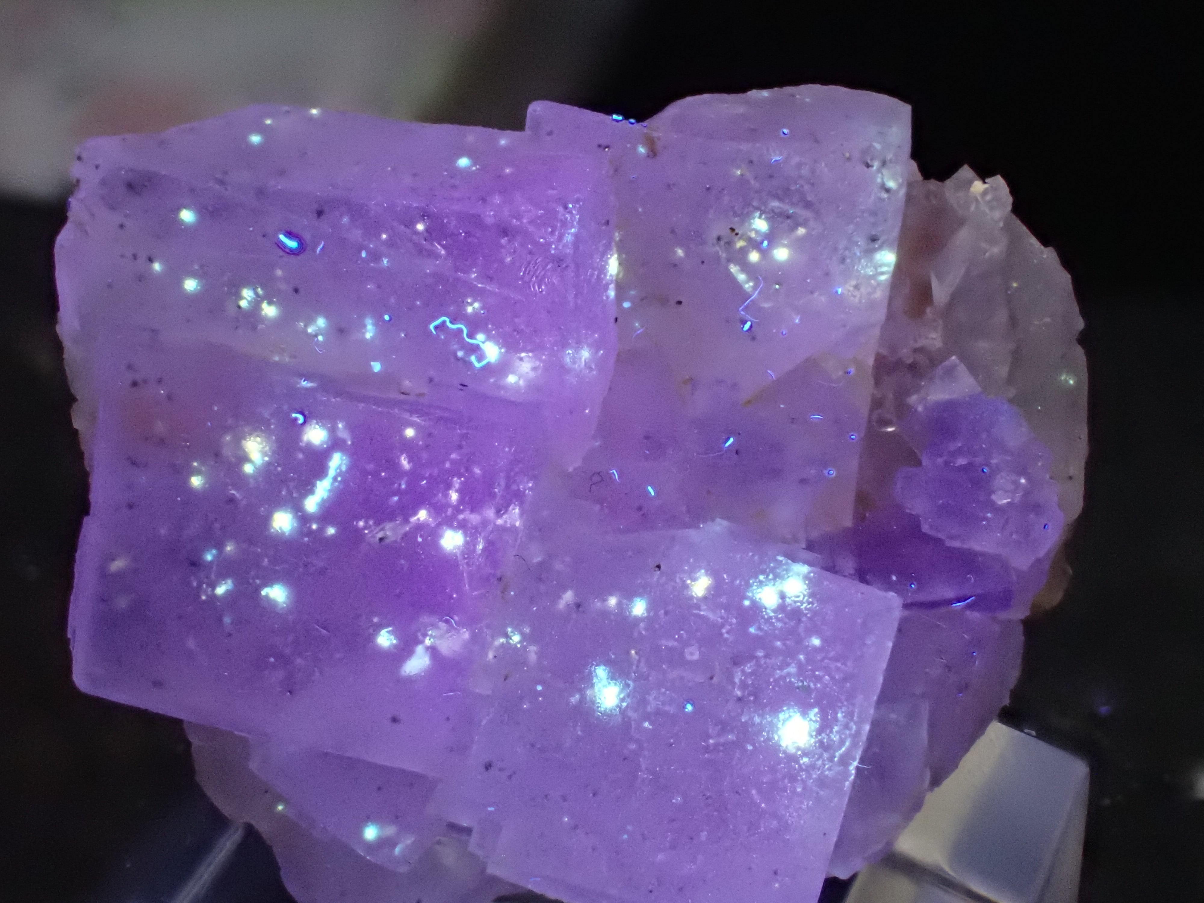 流通僅か】カールヒンツェアイト＆クリーダイト Carlhintzeite 原石