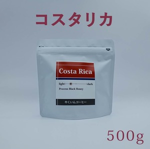 【送料無料】コスタリカ 500ｇまとめ買い 10％OFF