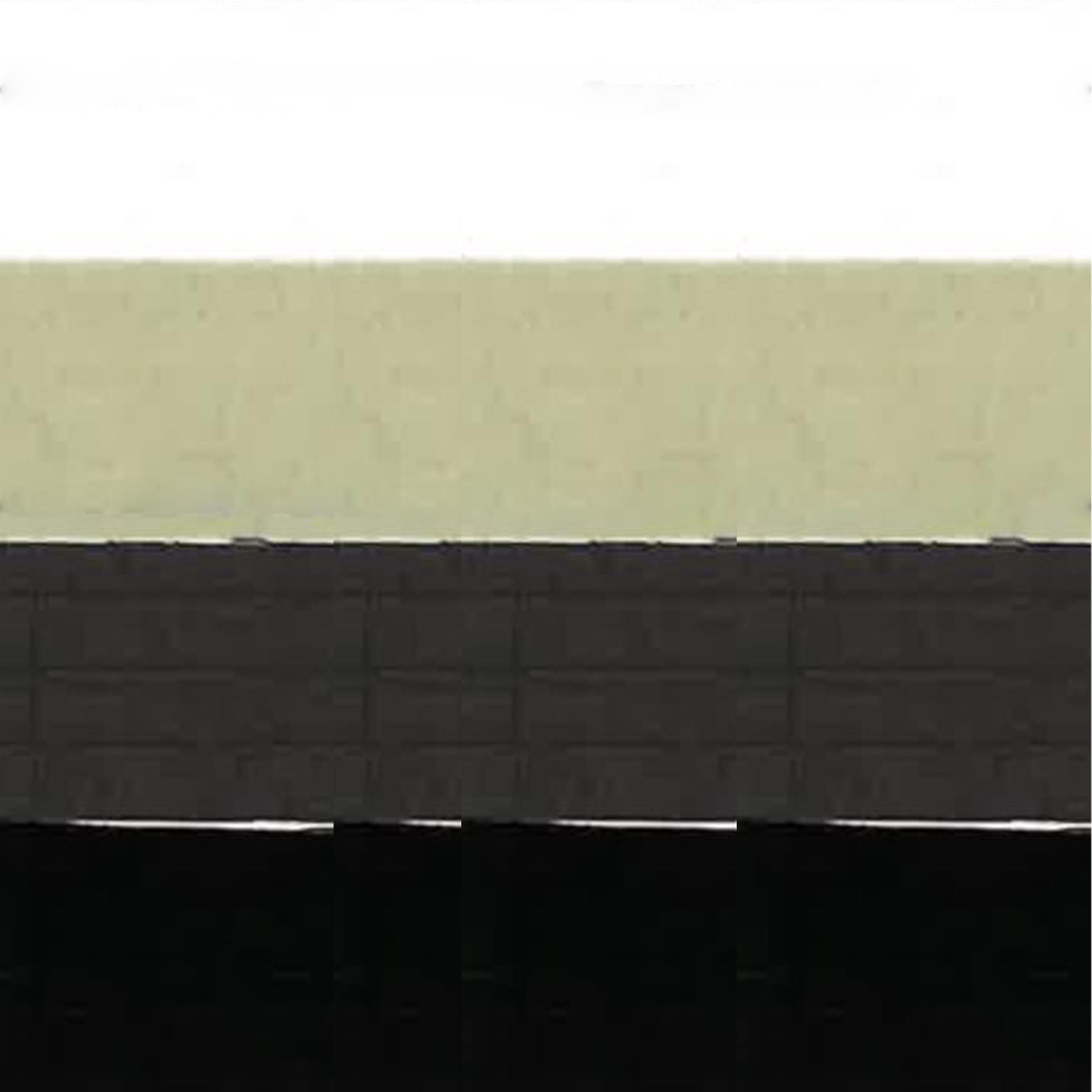 Dignite Collier 80242104　ラグラン切替BZ