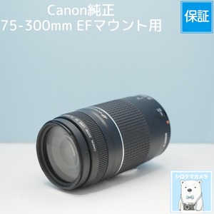 Canon純正 75-300mm EFマウント用 望遠レンズ シロクマカメラ a7259