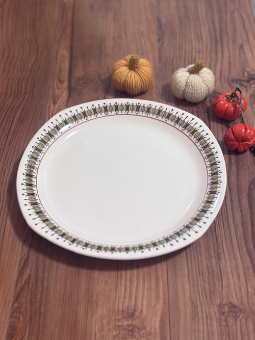 【Vintage】Gefle (ｹﾞﾌﾚ)/Safari(ｻﾌｧﾘ) Plate 24cm / Sweden②