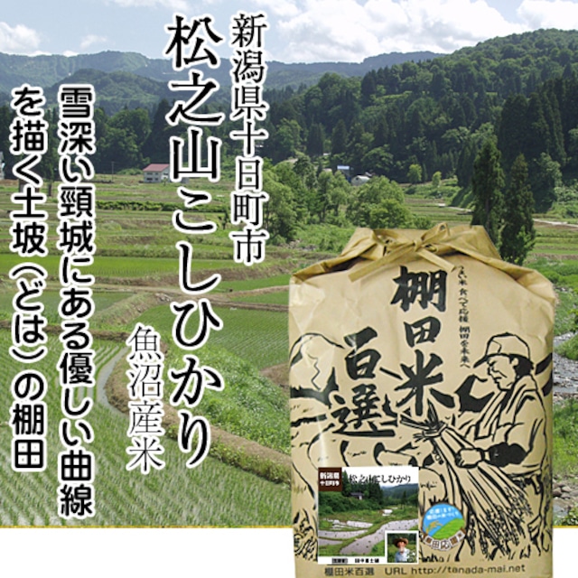 【令和5年産】新潟県十日町市松之山こしひかり【魚沼産一等米】（白米／玄米 5kg）