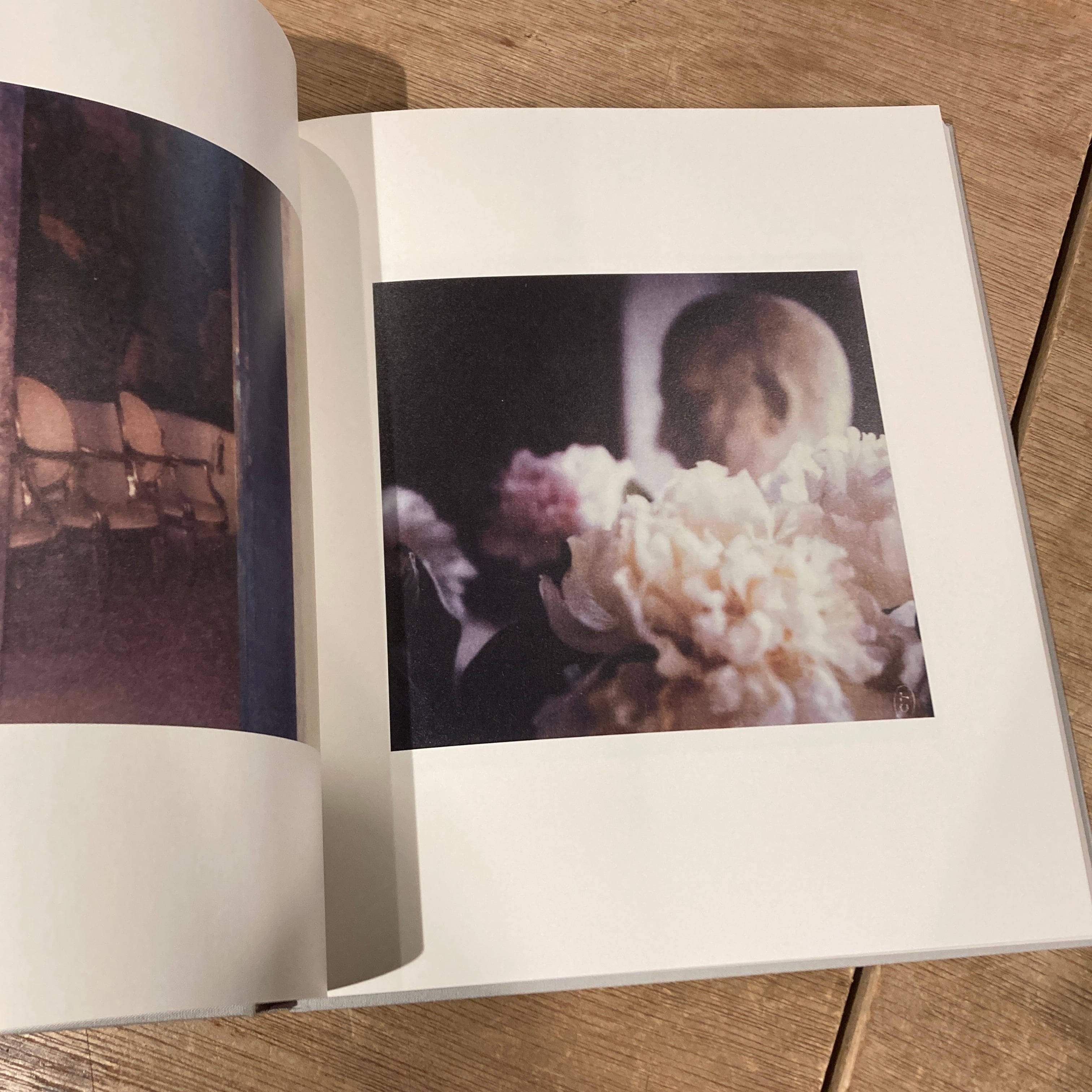 Cy Twombly Photographs Lyrical Variations サイ・トゥオンブリ―の