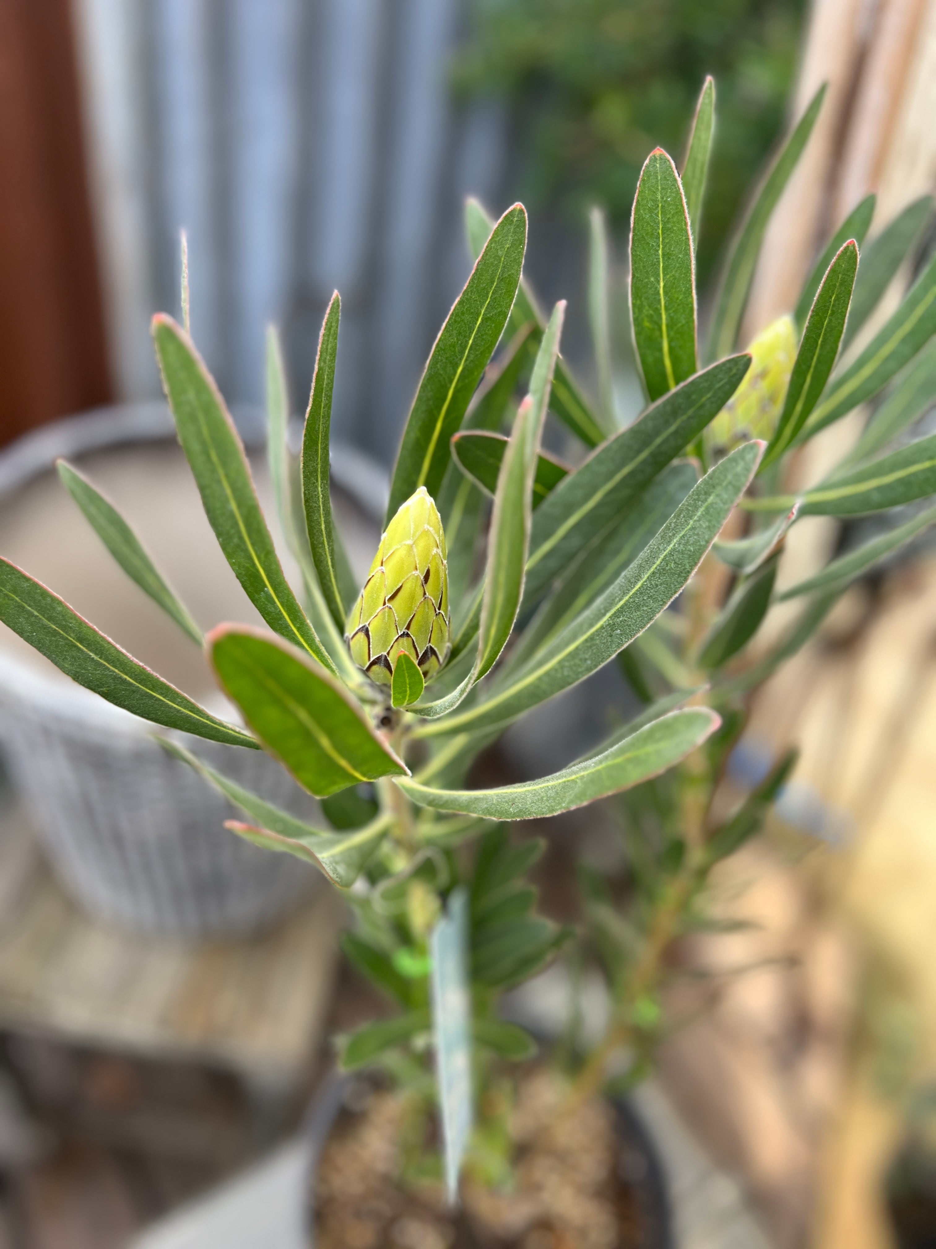 0aec2b61b420cfa0d7f3fa2b61f6a2