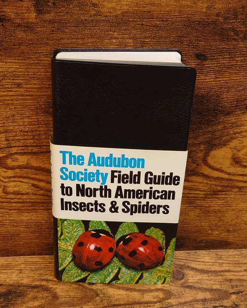 The Audubon Society Field Guide to North America Insects and Spiders