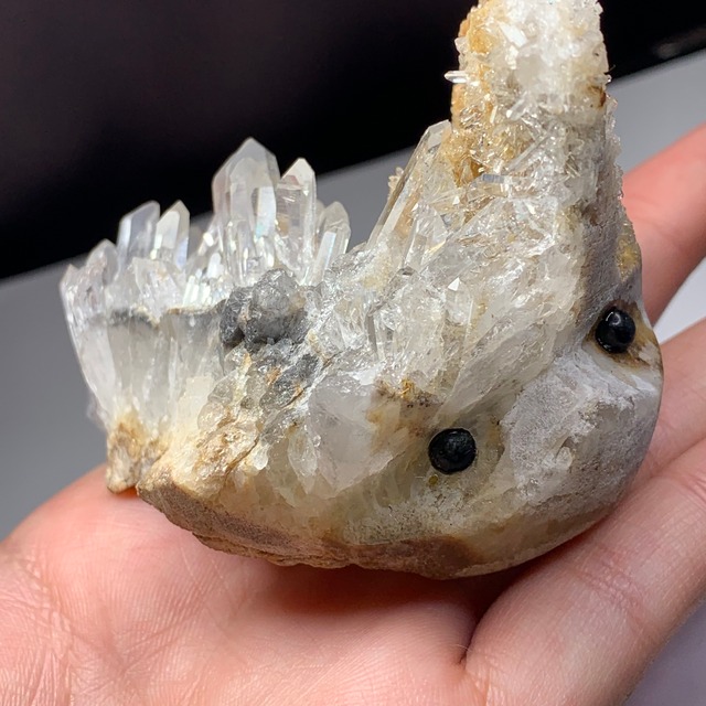 6.庭園の様な水晶クラスター・ハリネズミさん