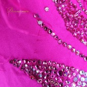 社交ダンス 衣装 The ONE ザワン スタンダードドレス ドレス ワンピース スタンダード フロート レース ファー フリル デモ 競技 ダンス パーティ 発表会 ピンク系 鮮やか 豪華 高級感 フォーマル ダンスイベント 競技会 衣装デザイン フェザー