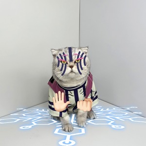 ペット用 コスプレ衣装 猫服 犬服 鬼滅の刃 風 猗窩座 通常衣装 ★受注品★