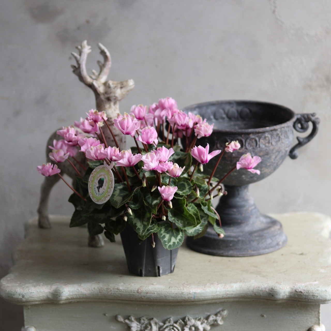 植木鉢　アンシャンハンドルカップSGY　アンティーク調　シャビーシック　オシャレ　UF561