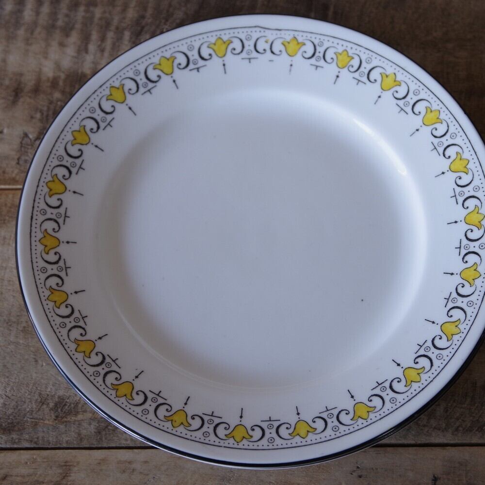 シェリー ディナープレート2枚 セットイギリスアンティーク食器