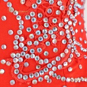 社交ダンス 衣装 ラテン ドレス ワンピース レース デモ 競技 ダンス パーティ 発表会 ストレッチ 赤 ビジュー レッド系 華やか フリル おしゃれ パーティードレス 発表会ドレス 女子ダンス フォーマル衣装 競技用ドレス ステージ衣装 豪華デザイン エレガント ドレスアップ ダンスパフォーマンス